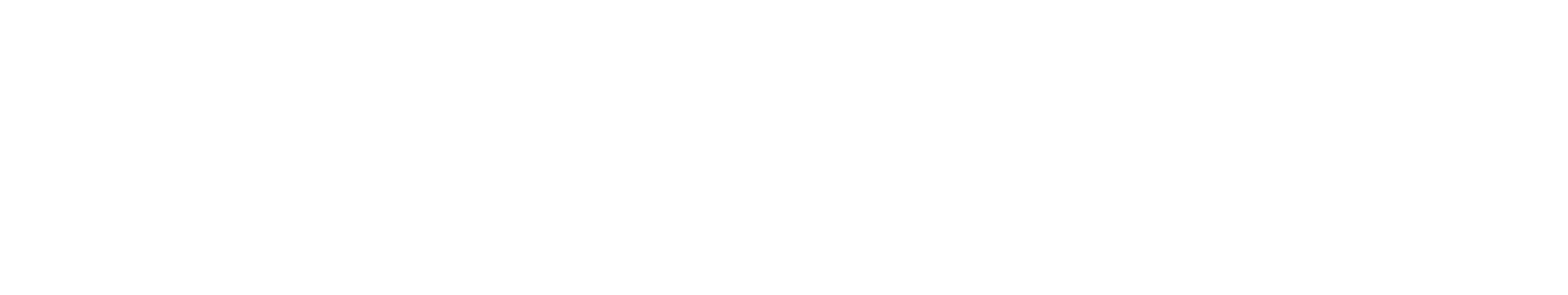Silver.dev